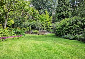 Optimiser l'expérience du jardin à Colleville-Montgomery